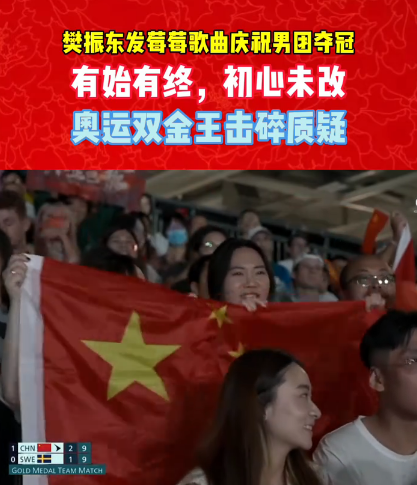 开云体育平台APP-瑞典队力克英格兰队，樊振东带队取胜